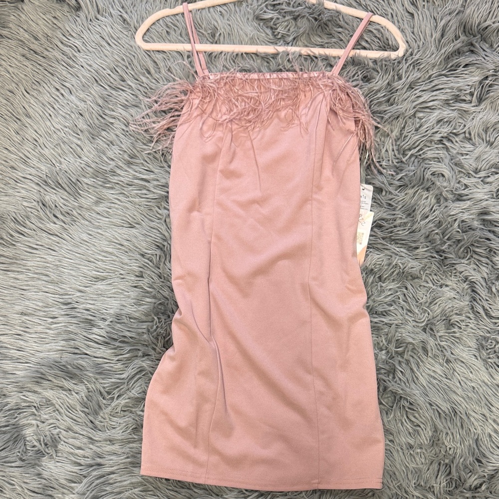 Iris Basic Pink Feathered Mini Dress